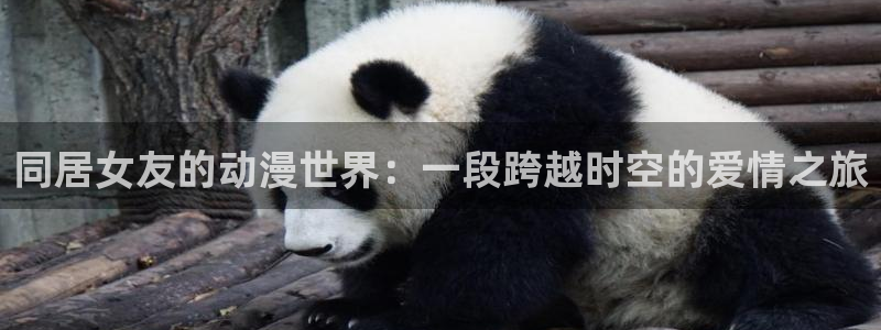 omo fun动漫：同居女友的动漫世界：一段跨越时空的爱情之旅