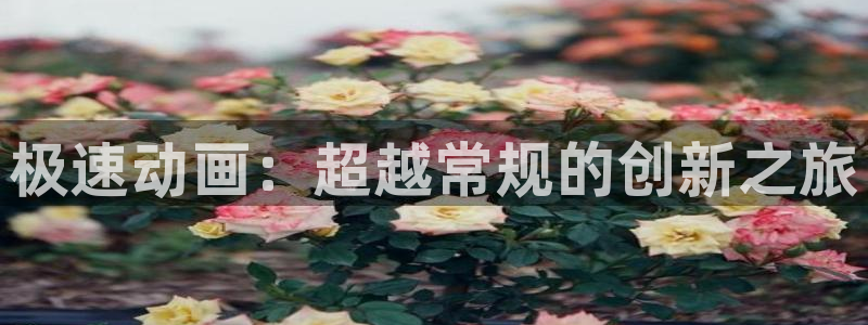 omofun动漫官网下载ios：极速动画：超越常规的创新之旅