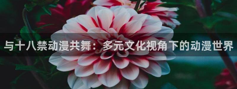 omofun动漫网官网