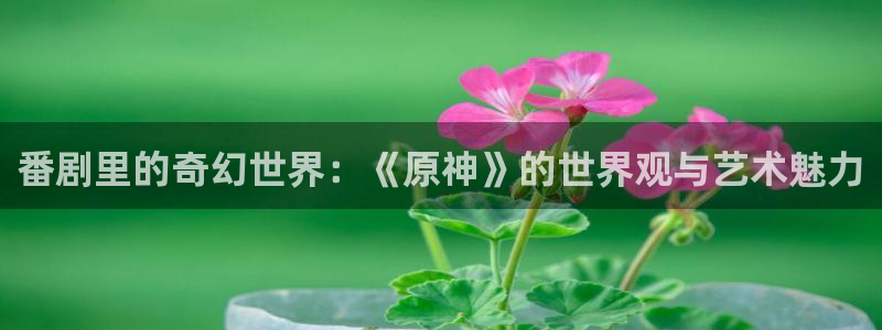 omofun动漫共和国
