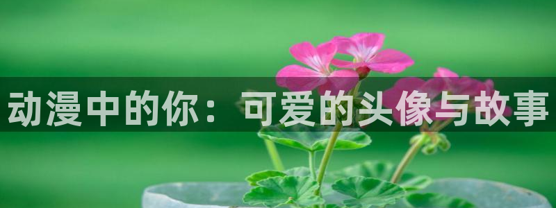 omofun是什么：动漫中的你：可爱的头像与故事