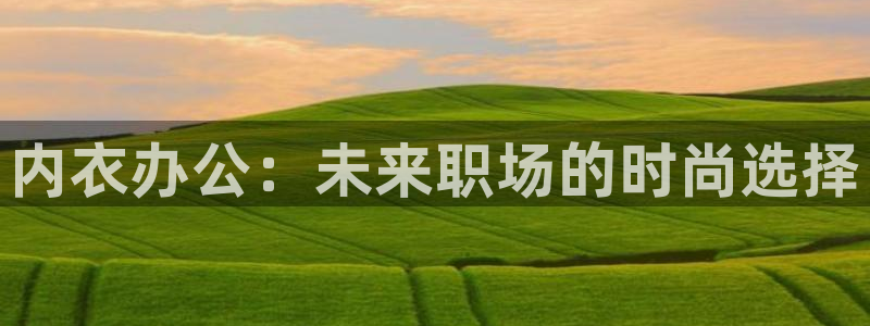 omofun动漫软件：内衣办公：未来职场的时尚选择