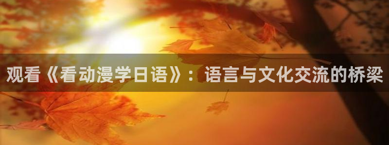 omo动漫：观看《看动漫学日语》：语言与文化交流的桥梁